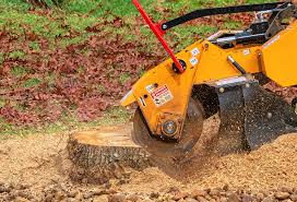 Best Firewood Processing and Delivery  in Keshena, WI