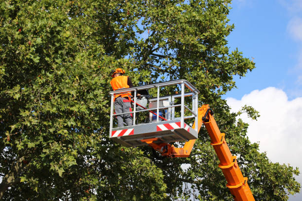 Best Lawn Maintenance Plans  in Keshena, WI