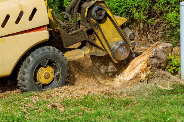 Best Lawn Drainage Solutions  in Keshena, WI